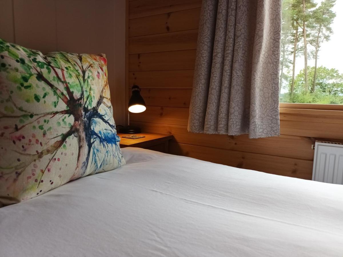 Birch Lodge, Pitlandie - Luxury 2 Bedroom With Sauna Holiday home
